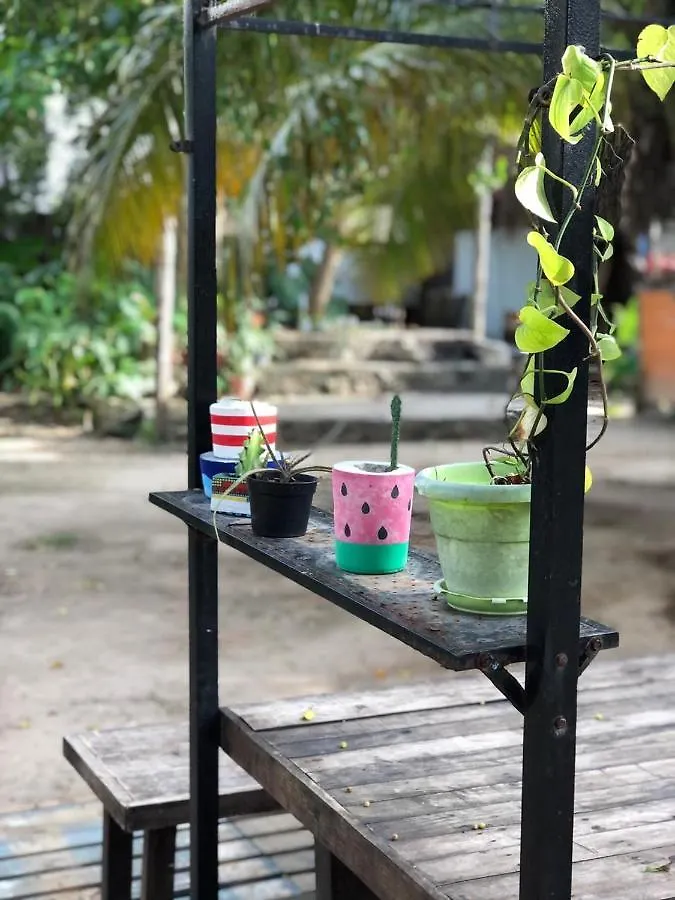Bed and breakfast Crucero Tulum 0*,  Mexique