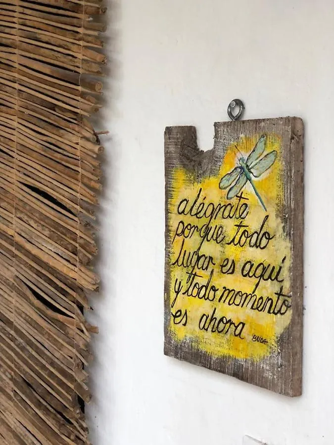 Bed and breakfast Crucero Tulum Mexique